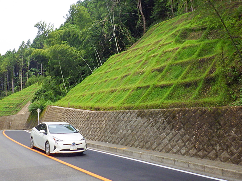 適用の効果が高い現場