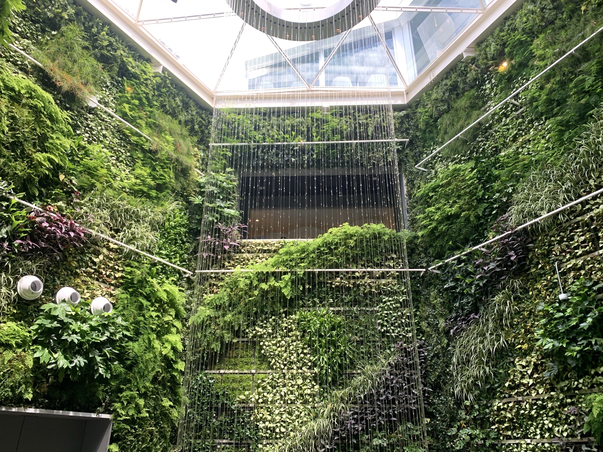 EXPO2025 大阪・関西万博 ベルギー館